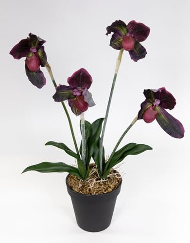 Seidenblumen Roß Orchidee Frauenschuh 42cm FT künstliche Blumen Pflanzen Kunstpflanzen Kunstblumen (Bordeaux)