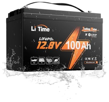 LiTime Batteria Litio 12V 100A per Motore Elettrico Barca, Camper | LiFePO4, BMS 100A, Max 15000 Cicli, Energia 1280Wh, IP65, Protezione Basse Temperature, Max 4P4S, per Pesca, Nautica, Yacht