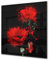 Concept Crystal Antiprojections Cuisine Verre – Antiprojections Verre sécurité – Antiprojections avec Photo BS03 Série Fleurs: Fleur Rouge 5