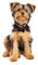 Hunde Aufkleber Sticker Motiv Yorkshire Terrier Autoaufkleber Tiere