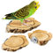 3er Set Vogel-Sitzbrettchen aus Naturkork-Rinde. Zum Sitzen, Anknabbern und Knuspern. Sitz-Brettchen aus Kork für Wellensittiche, Kanarienvögel, Papageien, Vögel oder Nagetiere