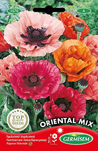 Germisem Oriental Mix Semi di Papavero 0.25 g
