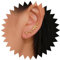 TseenYi Geweih Ohrstecker Ohrringe Gold Baumzweig Geweih Ohrstecker Vintage Elchgeweih Ohrstecker Ohrstecker Hirschgeweih Ohrstecker Vintage Rankengeweih Tier Ohrringe