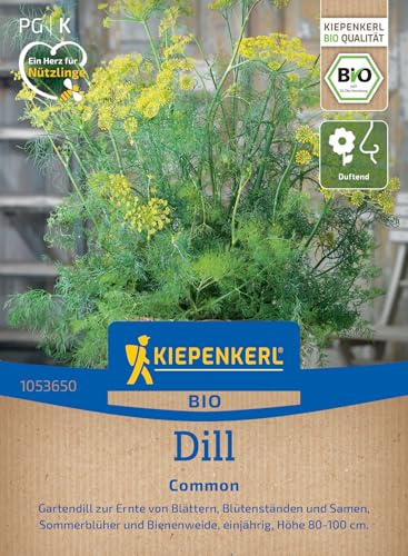 Kiepenkerl Dillsamen Einjähriger Common 1053650, Kräutersaat | BIO Kräutersamen für einen Gartendill, Inhalt für 900 Pflanzen, aromatisch