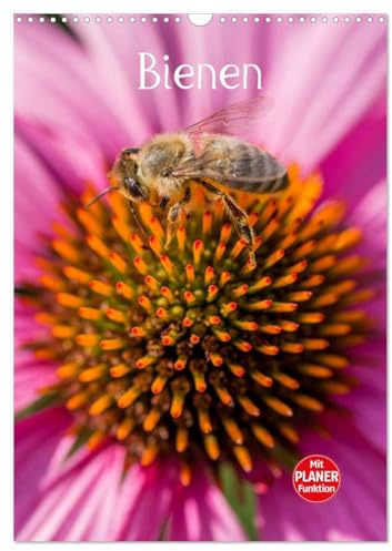 Bienenplaner (Wandkalender 2026 DIN A3 hoch), CALVENDO Monatskalender: Bienen für das ganze Jahr (CALVENDO Tiere)
