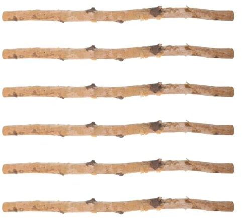 ARTSEWPLY 6 Stück Natürliche Holzstäbe zum Basteln 6 Stück Getrocknete Äste Ø 2cm Länge 40cm Selbstgemacht Dekoration für Vasen Hochzeiten Party und Wohnambiente