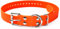 Educator Biothane Halsband, 2,5 cm, Orange