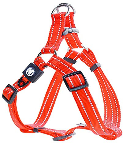 DDOXX Hundegeschirr Nylon, Step-In, Reflektierend, Verstellbar, Ausbruchsicher | für kleine & große Hunde | Brust-Geschirr Hund Katze Welpe Auto | Welpen-Geschirr Katzen-Geschirr | Orange, M