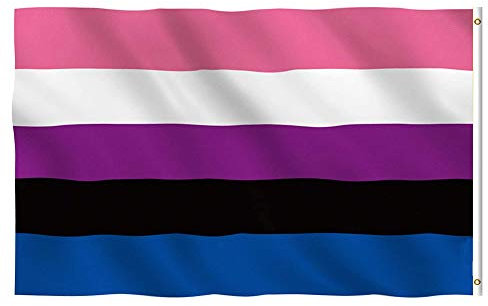 Apofly 1PC Flagge Lesben Homosexuell Parade Regenbogen Genderfluid Polyester Flagge 90x150cm Stolz Flaggen