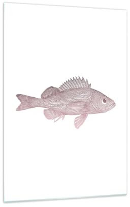 Bilder auf Glas 70x100cm Glasbild Fisch Unterwasser Minimalistisch Groß Wanddeko Bild im Glas Schlafzimmer Küche Deko Wandbilder Dekoration Wohnzimmer Modern Wall Wand Kunstdruck Art GPA70x100-5919