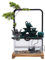 HarBin-Star Zimmerbrunnen mit LED Beleuchtung, Tischbrunnen Wasserfall, GartenAquariumHarz Desktop-Brunnen für Gelegenheiten Schlafzimmer Wohnzimmer Studie, Zimmerbrunnen 26 x12 x 13 cm