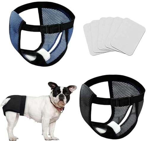 Voarge 2 Pack Unterhosen für Hunde,Wiederverwendbare Hundewindeln mit 6 Hygienepad,Warm, Menstruation, Waschbar, Windel, Schutz für Hunde,Schwarz und Blau (S)
