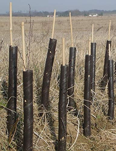 Elixir Gardens Spiral Tree Guards 2ft/24 Professional Rabbit/Pest, Sapling & Shrub Protector x 4