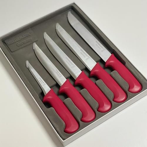 Couteau Boucher Professionnel en Inox - 5 Pièces Couleur Rouge - Steack, Viande - Couteau à Désosser - Lame de 13 à 23cm,