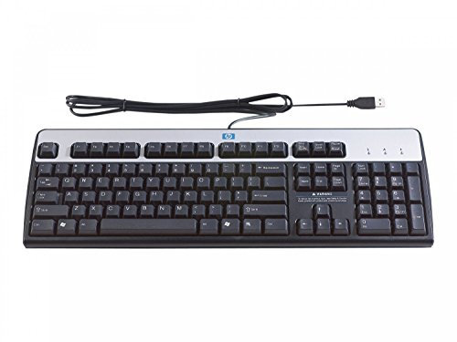 HP Standard BasisKeyboard 2004 USB (DK)