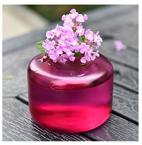 Blumenvasen/Vases Creative Ins Style Color Transparent Glass Small Vase Fire-Free Aromatherapy Bottle Desktop Decoration Simple Flower Arrangement Dekorative Vase (Color : 1)