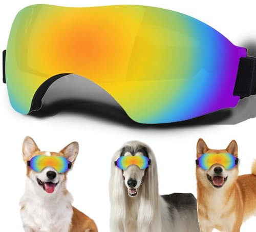Sonnenbrille für kleine Hunde, mit verstellbarem Riemen, UV-Schutz, winddicht, geeignet für kleine Hunde, Haustierbrillen, Augenschutz