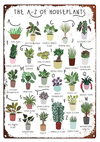 Tin Signs Vintage Funny A-Z of Houseplants, Plant Metal Sign, House Plants print, Alphabet Print, Plant lovers gift, Types of house plant Tin Sign Decor