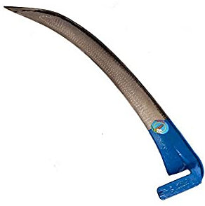 FALCE SS SENZA BARBA cm.65 100 FALCI [FALCI ]