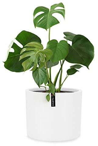 Fox & Fern Pot de Fleur Intérieur & Extérieur – Jardinière Résistante aux UV et au Gel avec Bouchon de Drainage – Grande Taille en Fiberstone – Design Unique