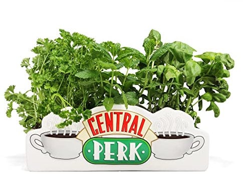 Half Moon Bay HMB Friends - Central Perk - Pot de Fleurs/Vase de Table