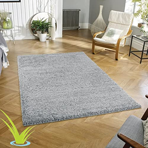 Wadan 60x110cm Silver Shaggy Rugs Living Room |5mm Thick Pile | Extra Large Small Medium | Rectangular Size | Soft Touch | Living Room Area Rugs | Non Shedding