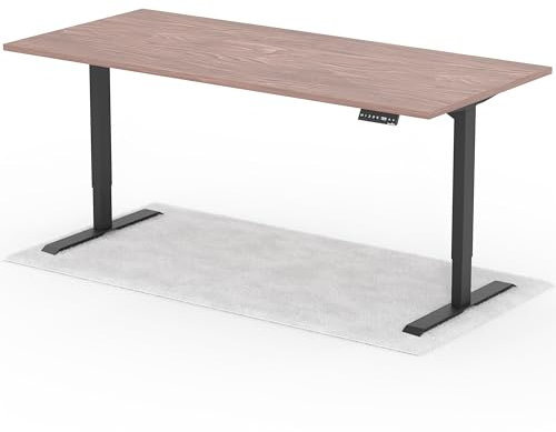 Standable Desk Höhenverstellbarer Schreibtisch 200 x 90 cm I elektrischer Office Table mit 4 Speicherstufen I Schreibtisch höheneinstellbar 70-120 cm I ergonomischer Büro-Tisch