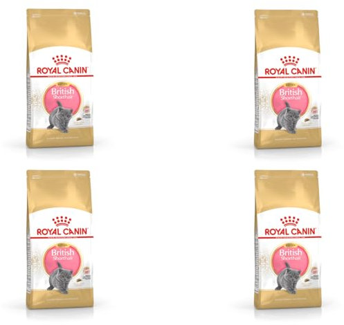 Royal Canin British Shorthair Kitten | 4er Pack | 4 x 400 g | Alleinfuttermittel für British Shorthair Kitten | Speziell für Britisch Kurzhaar Katzenwelpen | Bis zum 12. Monat