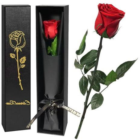 Jisrcha Set Regalo di Rose Eterne, Regali di Natale per Donne, Rosa Stabilizzata, Rose Artificiali Rosse per Mamma, Moglie, Fidanzata, Rosa Eterna Regalo di Compleanno, Regalo di Festa della Mamma