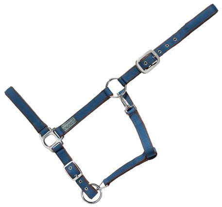 USG 15050007 Halfter, silberfarbene Beschläge, Soft unterlegt, Petrol/Braun, Warmblut