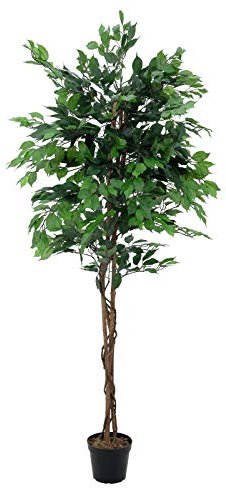 artplants.de Decorative Ficus benjamina with 1.850 leaves, green, 7ft/210cm - Artificial ficus/Office decoration