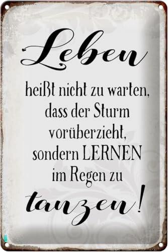 Schild Blech 20x30cm - Made in Germany - Spruch Leben lernen im Regen zu tanzen Metall Deko Blechschild