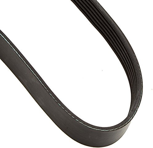 JAPKO 6PK925 Zahnriemen