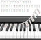 Klavier Noten Sticker, Klavier Keyboard Noten Aufkleber,Piano Lernen Klaviertasten Aufkleber,Klavier aufkleber kinder,Keyboard Noten Aufkleber für 37/49/54/61/88 ! Silikon - Farbe