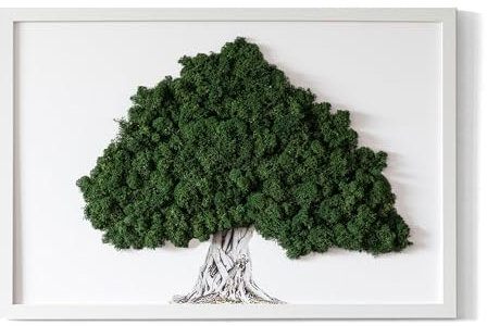 Tulup 40x60 cm Weißer Rahmen Moos Malerei Unkraut Moos MDF Wohnzimmer-Schlafzimmer-Dekorationi Geschenk - Ein Baum mit Wurzeln auf einem weißen Hintergrund
