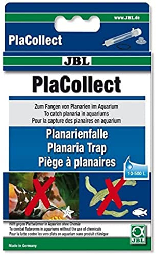 JBL Planarienfalle gegen Plattwürmer; PlaCollect; 61455