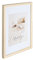Holz Bilderrahmen Plexi Foto Rahmen Collage Wanddeko Poster S111: Farbe: Natur | Format: 29,7x42 A3