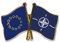 Europa-NATO Freundschafts Pin