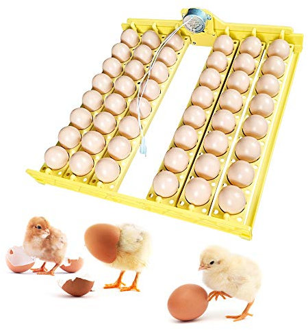 PAIDUOJI Nuevos Modelos Bandeja de Huevos de Pollo 48 Capacidad para Mini Bandeja de Huevos de incubadora de Huevos