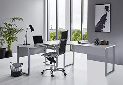BMG Möbel Winkelschreibtisch Office Edition Eckschreibtisch Schreibtisch in 2 Farbvarianten (Lichtgrau)