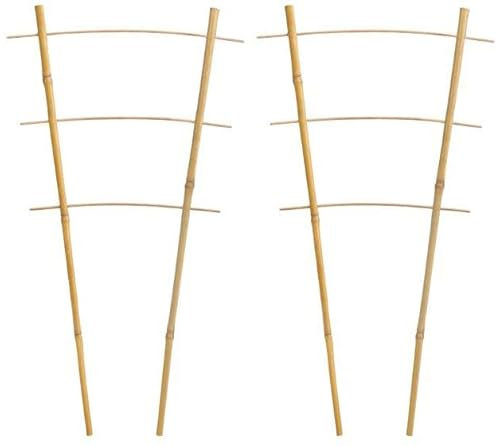 Novatool 2X Blumengitter 45 x 17 x 12 Rankgitter I Rankhilfe naturfarben Kletterhilfe Zimmer- und Gemüsepflanzen I Tomatenrankhilfe Rosen Blumenspalier Pflanzstütze Bambus I Bambusspalier
