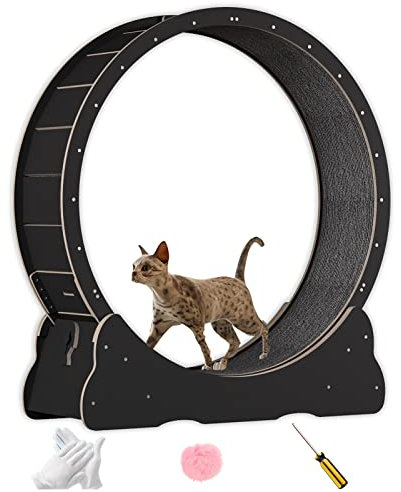 Katzenlaufrad aus Massivholz, Laufrad Katze 100cm Innendurchmesser, Cat Wheel für gesunde Bewegung und Entspannung.(Schwarz)