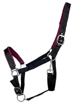 OR S-LINE Halfter Soft-Basic weich unterlegtes Weidenhalfter für Pferde verstellbar, Cob, Pony verfügbar (Schwarz, Full)