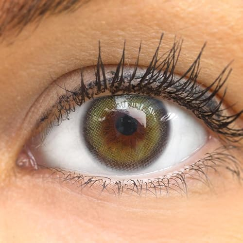GLAMLENS Olive Grove (verde corporal) lentillas de color - 1 par (2 piezas) 3 mes coloreado Sin Graduación 0.00 dioptrías blandos - lentillas mensuales de color verde sutil y aspecto natural