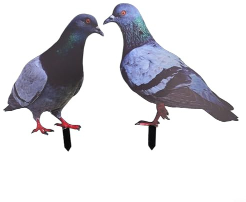 2D Acrylic Garden Pigeon Statue For Outdoor Yard Decor Farm Theme Wildlife for SCULPTURE Wild Bird Ornament For Lawn Patio Balcony(A and B)