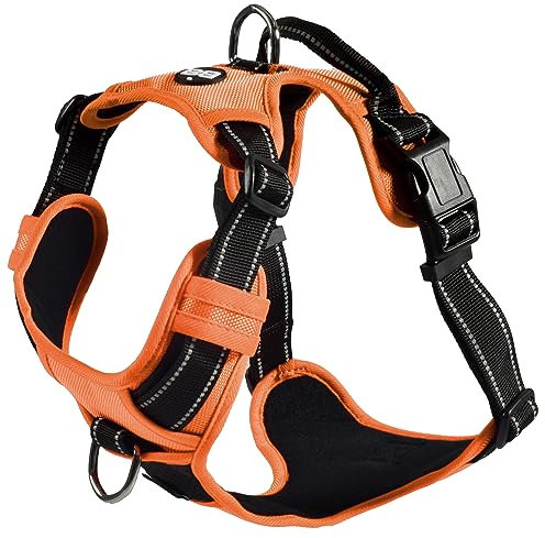 Bobby Rando Walk – Hundegeschirr, Hundegeschirr für mittelgroße, kleine und große Hunde aus Nylon, sicher, bequem, reflektierend, verstellbar, Orange, L/46–70 x 2,5 cm