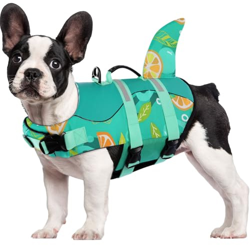 CITÉTOILE Schwimmweste Hund Hai, Hundeschwimmweste mit Griff, Grün, L