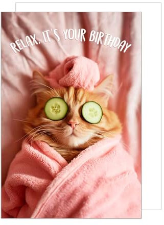 Edition Seidel Premium XXL Maxi Glückwunschkarte zum Geburtstag mit Umschlag Format DIN A4. Geburtstagskarte Grußkarte Karte Relax Happy Birthday für sie ihn Frau Mann Freundin Katze (A4-G3562)