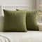 MIULEE 2er Set Samt Soft Solid Dekorative Quadrat Wurf Kissenbezüge Set Kissen Fall für Sofa Schlafzimmer Armeegrün 16x16 Zoll 40x40 cm
