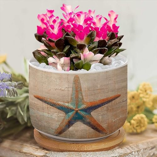 Yelolyio Pot de fleurs en forme d'étoile de mer avec motif sur le thème de l'océan, pot de fleurs succulentes personnalisé, petit pot de fleurs personnalisé pour grand-mère